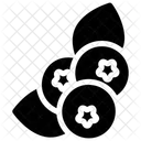 Berries  Icon