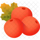 Berries  Icon