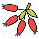 Berries  Icon