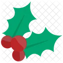 Berries  Icon