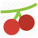 Berries  Icon