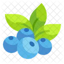 Berries  Icon