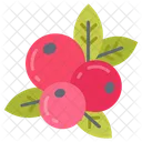 Berries  Icon