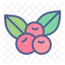 Berries  Icon