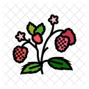 Berries Plant  Icon