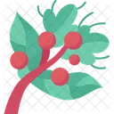 Berry Twigs Winter Icon