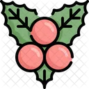 Berry Fruit Healthy Icon
