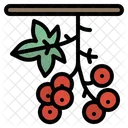 Berry Berries Bouquet Icon