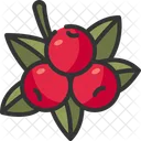 Berry Viburnum Fruit Juicy Icon