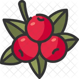 Berry  Icon