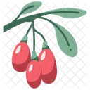 Berry Fruit Goji Icon