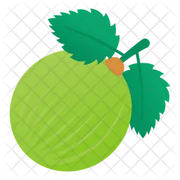 Berry  Icon