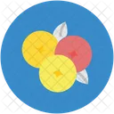 Berry Grapes Bunch Icon