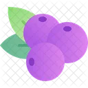 Berry Blueberry Fruit Icon