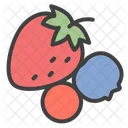 Berry Fruits Fresh Icon