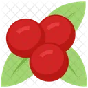 Berry Cranberry Food Icon