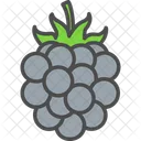 Berry Blackberry Food Icon