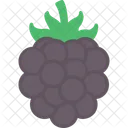 Berry Blackberry Food Icon