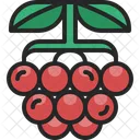 Berry Fruit Food Icon