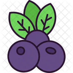 Berry  Icon