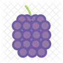 Berry Fruit Mulberry Icon