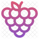 Berry Berries Grapes Icon