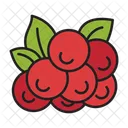 Berry Viburnum Fruit Healthy Food Icon