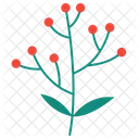 Berry branch  Icon