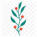 Berry branch  Icon