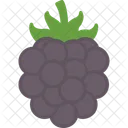 Berry Blackberry Food Icon