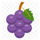 Berry Fruit Vineyard Harvest Icon