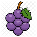 Berry Fruit Vineyard Harvest Icon