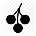 Berry  Icon