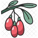 Berry  Icon