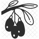 Berry Goji Wolfberry Icon