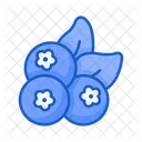 Berry  Icon