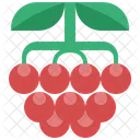 Berry  Icon