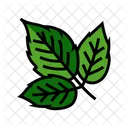 Berry Leaves  Icon