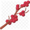 Berry Fruit Food Icon