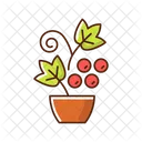 Berry shrubs and vines  Icon