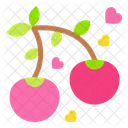 Berrys  Icon