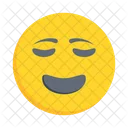 Besorgt Smiley Gefuhl Symbol