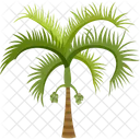 Betel Palm Palm Tree Beach Icon