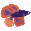 Betta fish  Icon