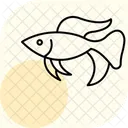 Betta fish  Icon