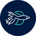 Betta Fish Bettafish Pet Icon