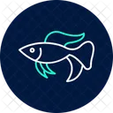 Betta Fish Betta Fish Icon