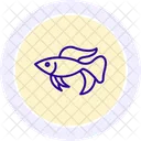 Betta Fish Betta Fish Icon