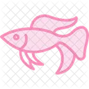Betta fish  Icon