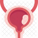 Bexiga  Ícone